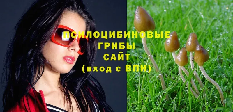 продажа наркотиков  Биробиджан  Галлюциногенные грибы MAGIC MUSHROOMS 